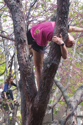 Tree Dancing